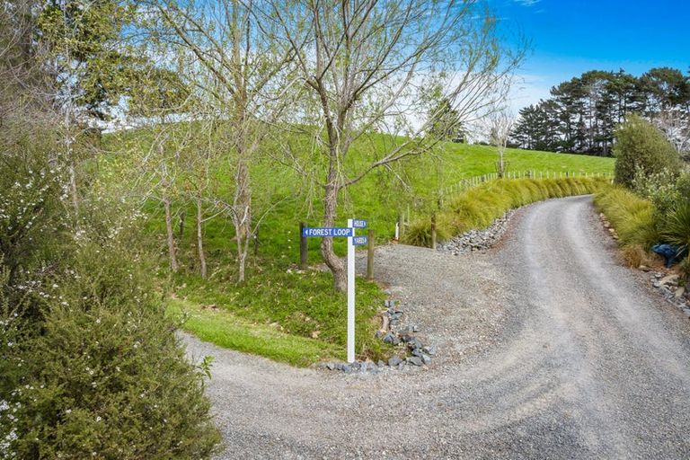 Photo of property in 436 Burnside Road, Makarau, Kaukapakapa, 0873