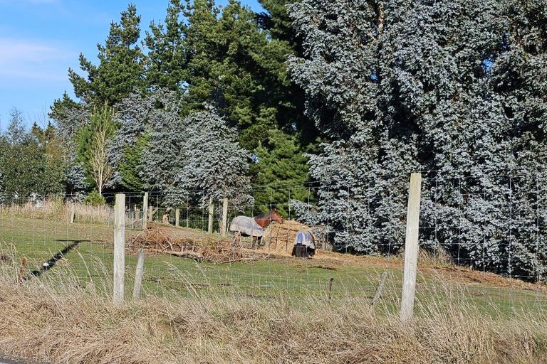 Photo of property in 153 Romahapa Road, Romahapa, Balclutha, 9271