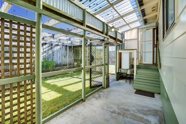 Photo of property in 3 Kenney Crescent, Fairfield, Hamilton, 3214