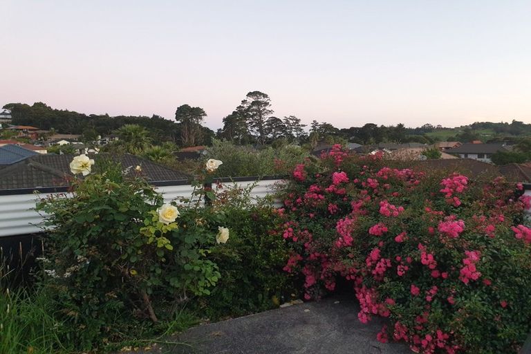 Photo of property in 86 San Marino Drive West, Henderson, Auckland, 0612