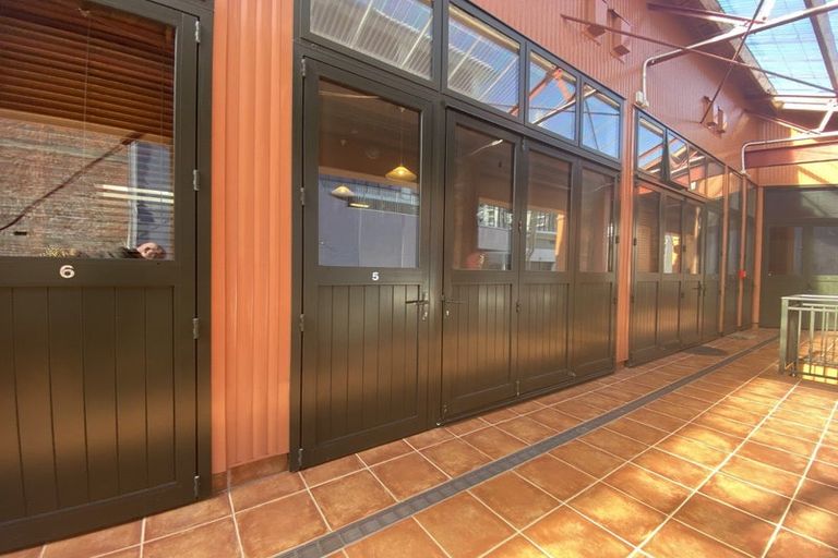 Photo of property in Courtenay Mews Apartments, 5/14 Alpha Street, Te Aro, Wellington, 6011