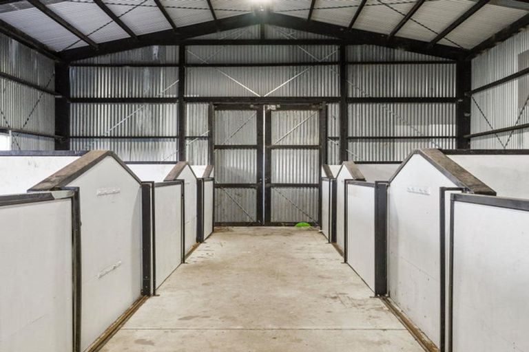 Photo of property in 1235 Omanawa Road, Omanawa, Tauranga, 3171