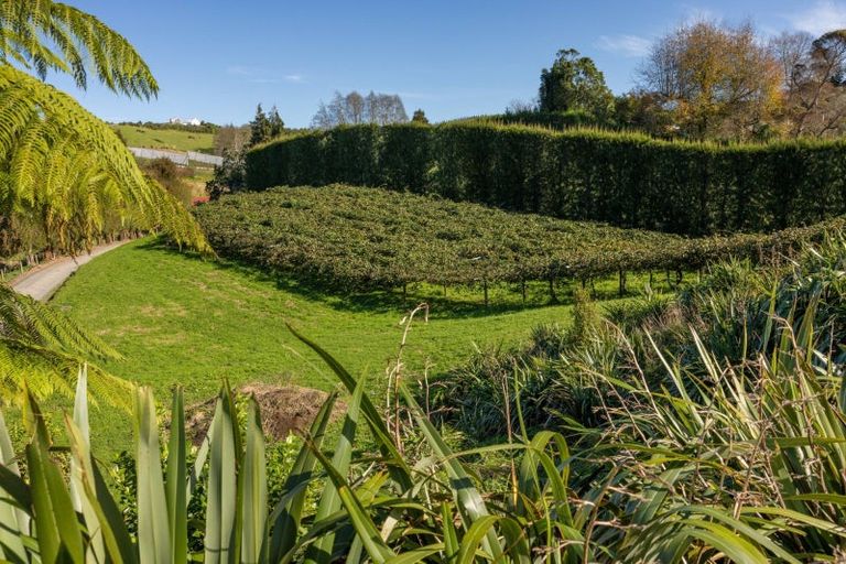 Photo of property in 394 Old Highway, Whakamarama, 3180