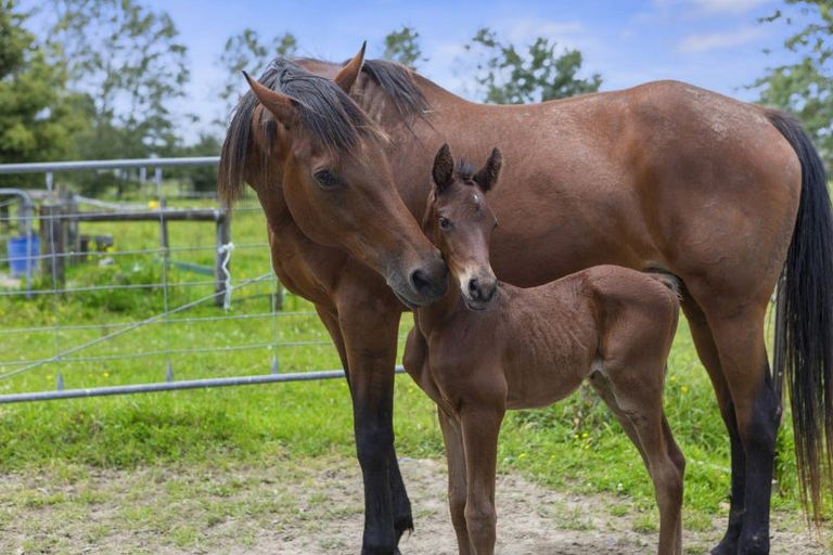 Photo of property in 138a Mccabe Road, Te Aroha, 3393