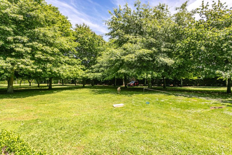 Photo of property in 314 Campbell Road, Richmond Downs, Walton, 3475