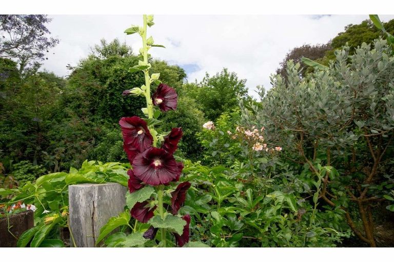 Photo of property in 40a Jacaranda Place, Kerikeri, 0230