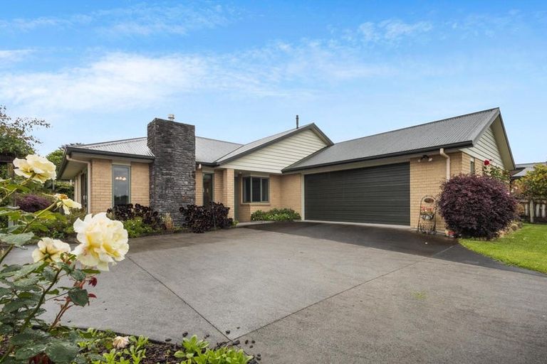 Photo of property in 29 Cambridge Street, Putaruru, 3411