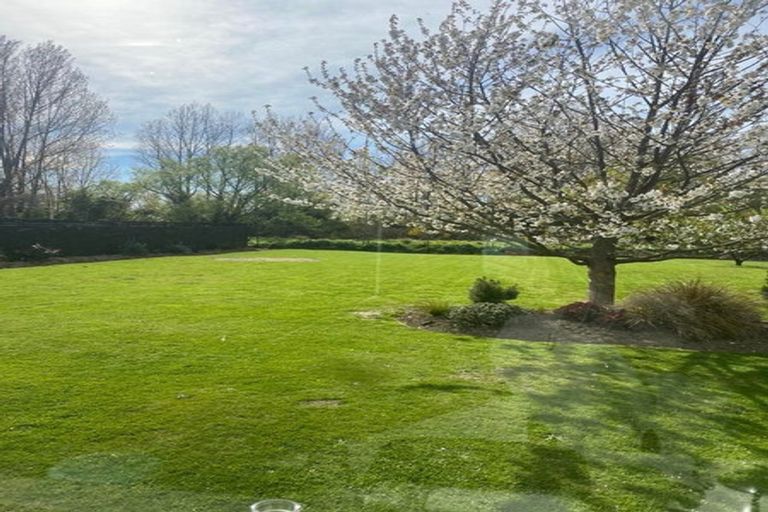 Photo of property in 197 Talbot Street, Geraldine, 7930