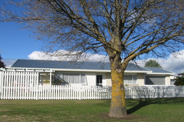 Photo of property in 1004 Frances Street, Akina, Hastings, 4122