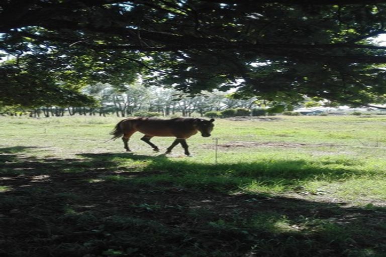 Photo of property in 1 Warahoe Road, Matatoki, Thames, 3578