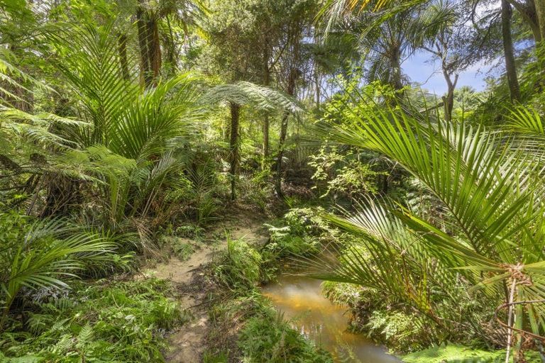 Photo of property in Wainikau, 40 Olive Grove, Mangawhai, Kaiwaka, 0573