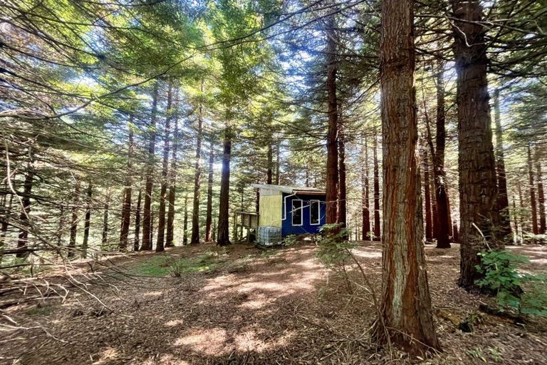 Photo of property in 262 Wainui Road South, Whakamarama, Katikati, 3181