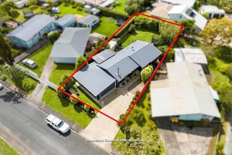 Photo of property in 6 Clinton Avenue, Te Atatu Peninsula, Auckland, 0610