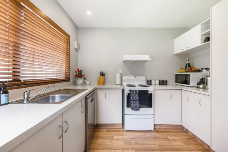 Photo of property in 1b Stephens Place, Hairini, Tauranga, 3112
