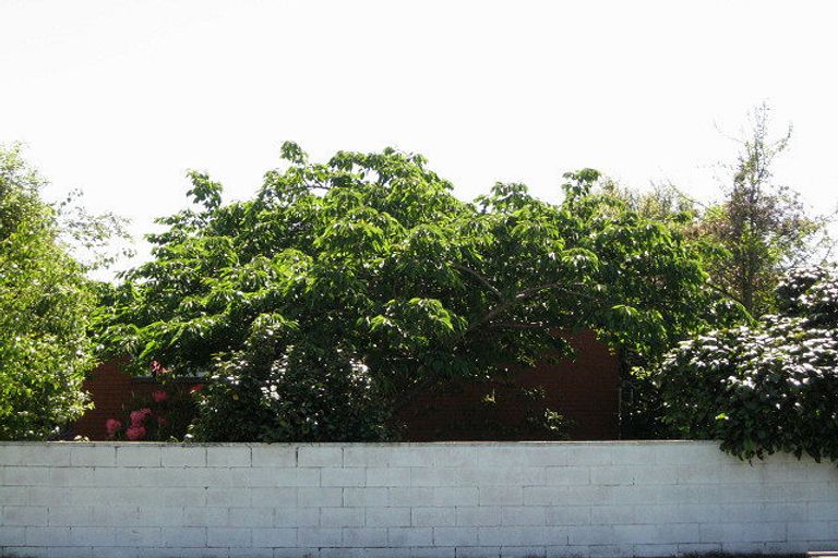 Photo of property in 12 Denniston Crescent, Redwood, Christchurch, 8051