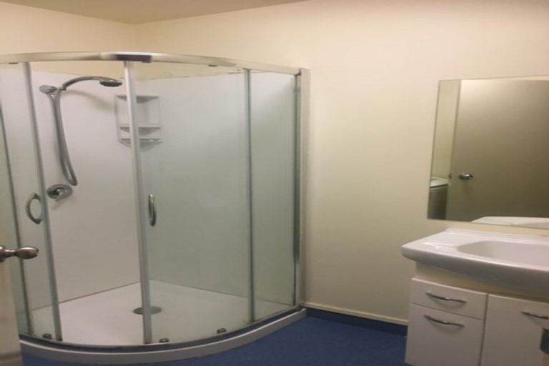 Photo of property in Basin Reserve Complex, 37/4 Sussex Street, Mount Cook, Wellington, 6021