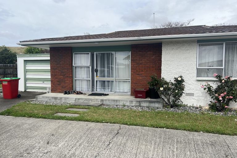 Photo of property in 205b Weld Street, Witherlea, Blenheim, 7201