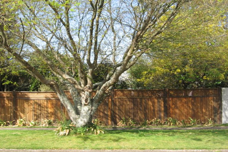 Photo of property in 8 Ashley Street, Glenholme, Rotorua, 3010