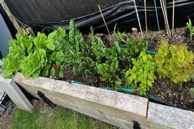 Photo of property in 47 Shuttleworth Place, Manly, Whangaparaoa, 0930