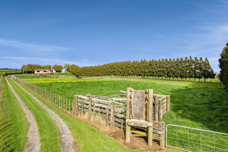 Photo of property in 302 Otaraoa Road, Motunui, Waitara, 4383