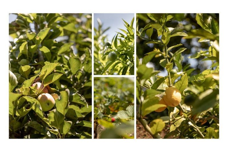 Photo of property in 8 Fisher Place, Opotiki, 3122