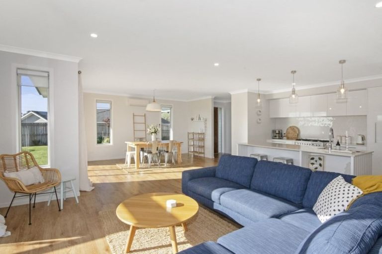 Photo of property in 8 Boysenberry Grove, Richmond, 7020