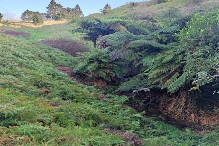 Photo of property in 405c Rowe Road, Ohauiti, Tauranga, 3173