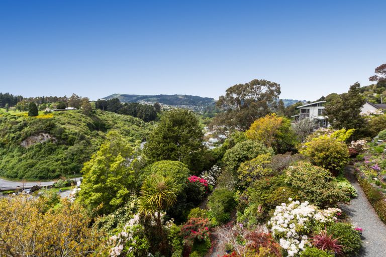 Photo of property in 86 Braeview Crescent, Maori Hill, Dunedin, 9010