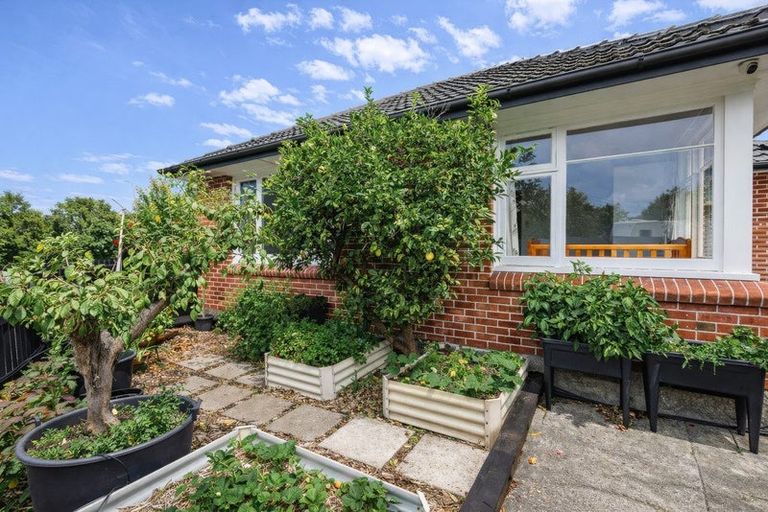 Photo of property in 8a Kyeburn Place, Avonhead, Christchurch, 8042