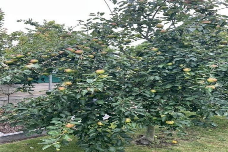 Photo of property in 54 Acacia Bay Road, Nukuhau, Taupo, 3330