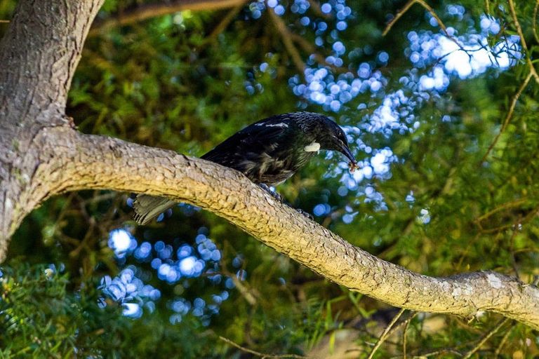 Photo of property in 45 Mcfarlane Street, Oakura, 4314