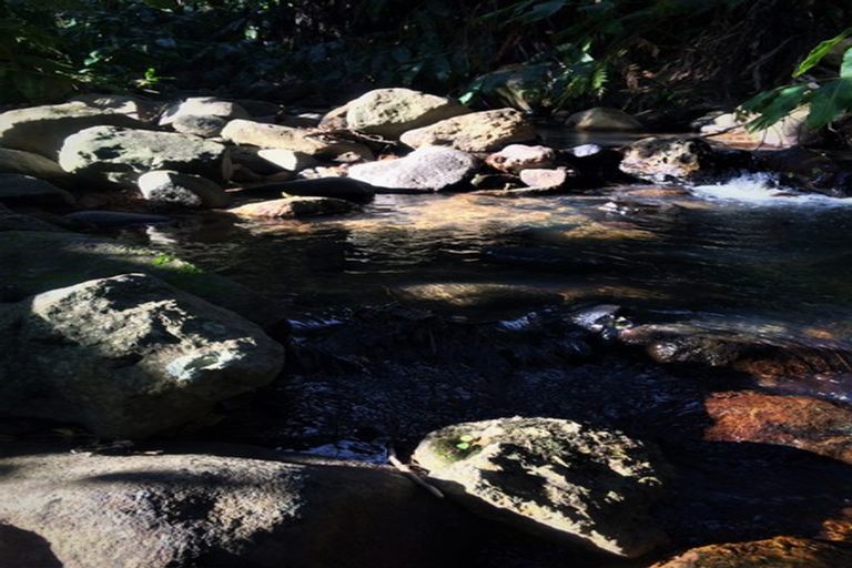 Photo of property in 4 Otuturu Creek Road, Ruamahunga, Thames, 3575