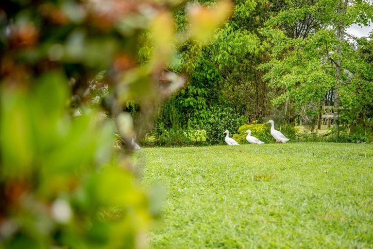 Photo of property in 68 Wiroa Road, Kerikeri, 0293