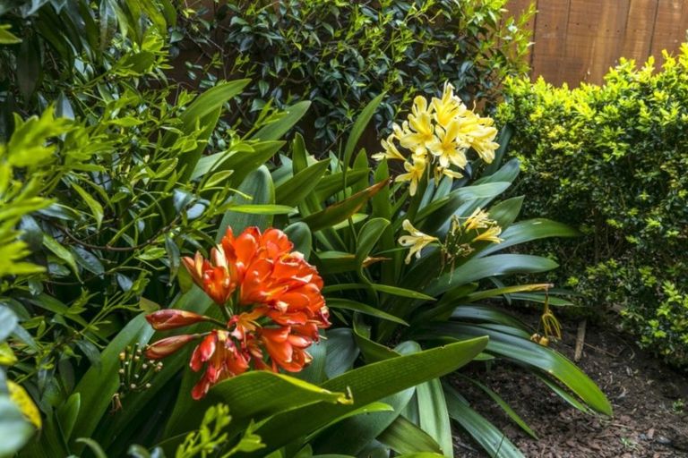 Photo of property in 3/38 Old Lake Road, Narrow Neck, Auckland, 0624