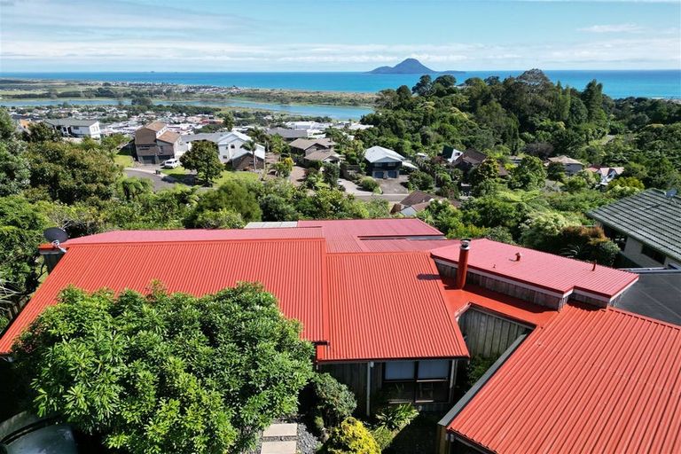 Photo of property in 4 Camelia Lane, Whakatane, 3120