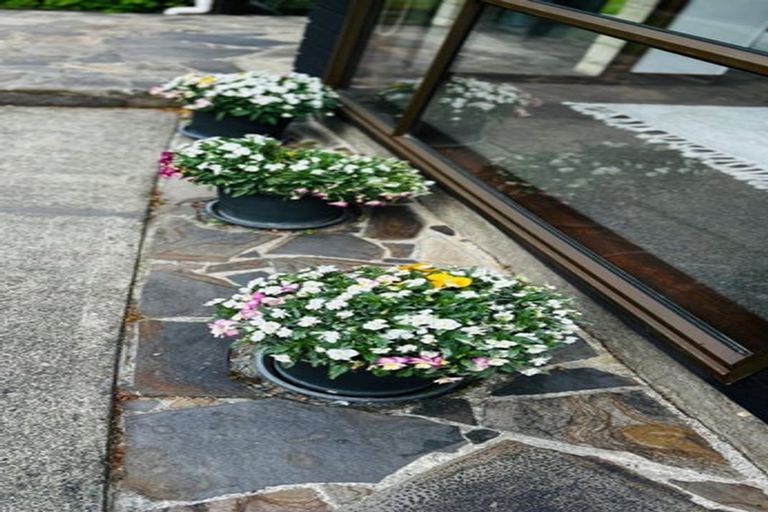 Photo of property in 9 Kantara Lane, Somerfield, Christchurch, 8024