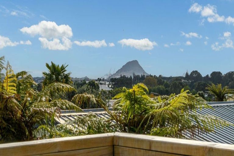 Photo of property in 14 Te Wati Street, Maungatapu, Tauranga, 3112