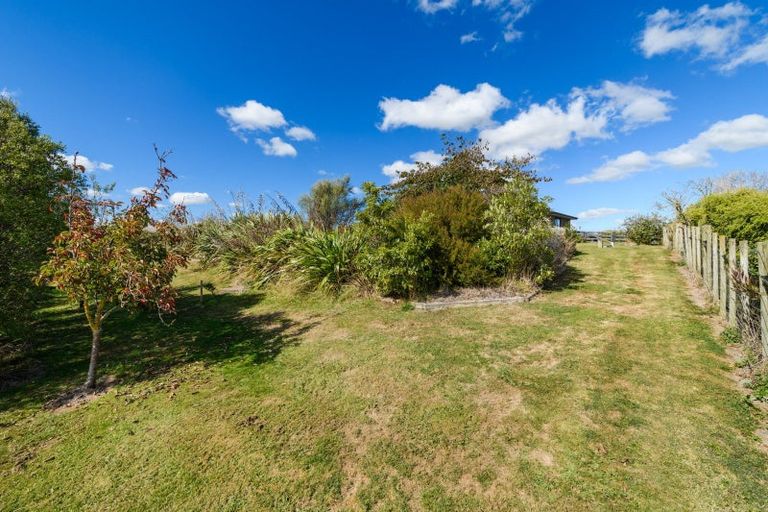 Photo of property in 14 Fallow Avenue, Feilding, 4775