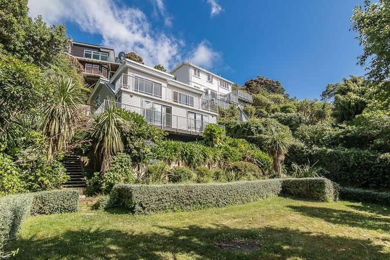 Photo of property in 169 Grafton Road, Hataitai, Wellington, 6011