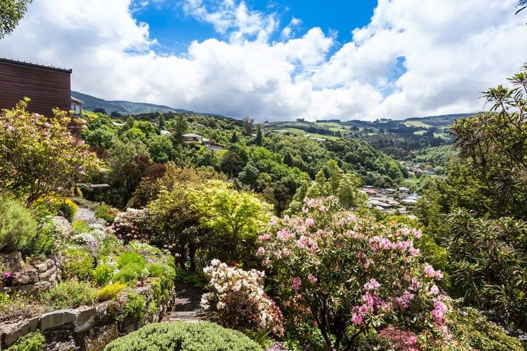 Photo of property in 86 Braeview Crescent, Maori Hill, Dunedin, 9010