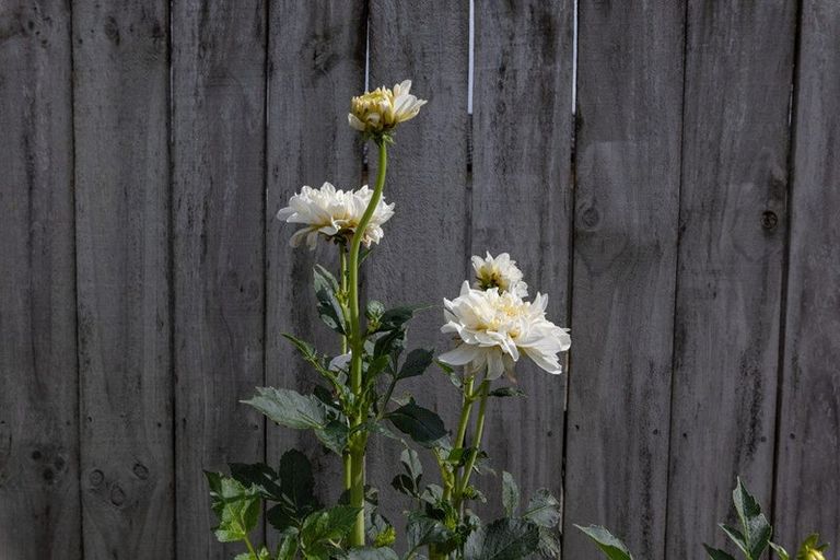 Photo of property in 32 Blunt Road, Te Kauwhata, 3710