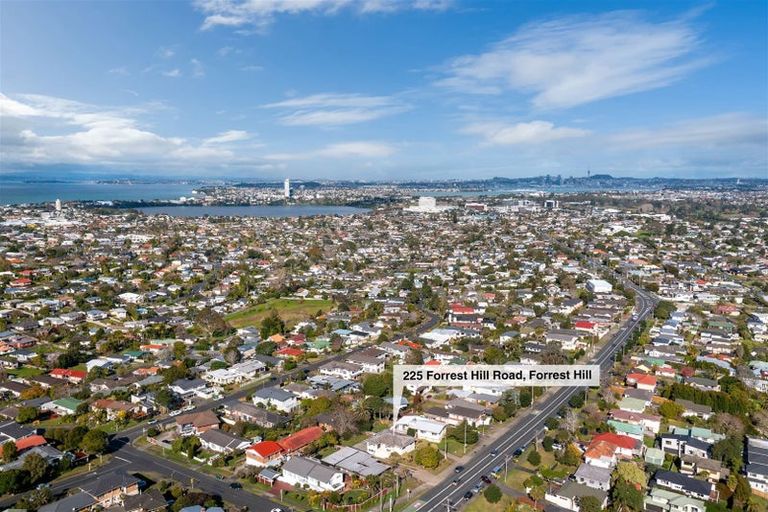 Photo of property in 225 Forrest Hill Road, Forrest Hill, Auckland, 0620