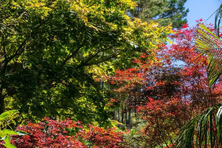 Photo of property in 111 Old Reservoir Road, Karangahake, Paeroa, 3674