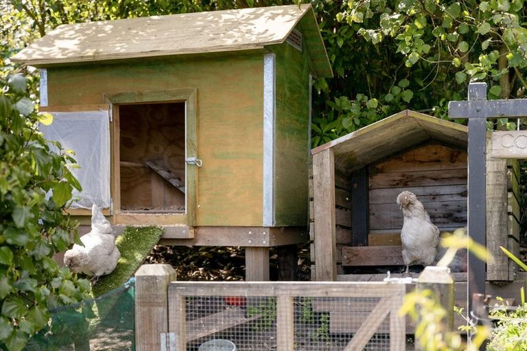 Photo of property in 15 Claydon Place, Ohope, 3121