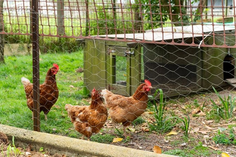 Photo of property in 6835 State Highway 12, Turiwiri, Dargaville, 0374