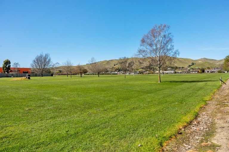 Photo of property in 115 Redwood Street, Redwoodtown, Blenheim, 7201