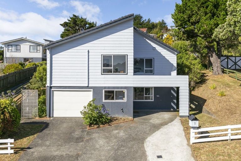 Photo of property in 7 Guadeloupe Crescent, Grenada Village, Wellington, 6037