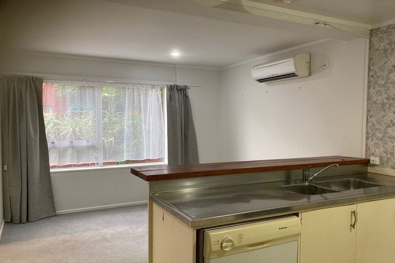 Photo of property in Parklane Mews, 326h The Terrace, Te Aro, Wellington, 6011