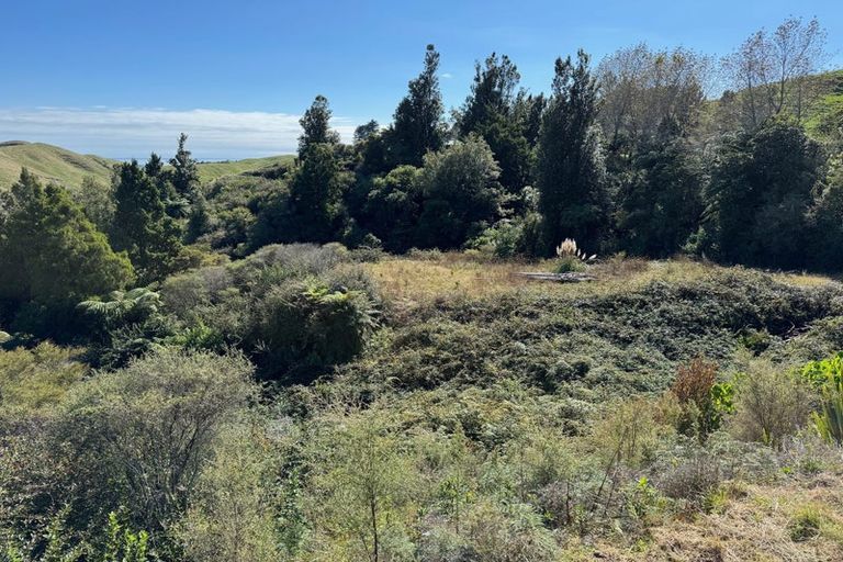 Photo of property in 1158 Manawahe Road, Matata, Whakatane, 3194