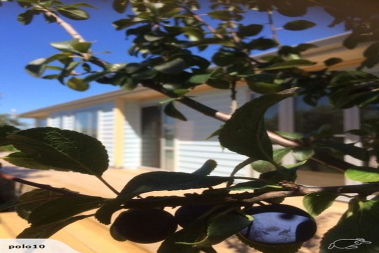 Photo of property in 233a Point Wells Road, Point Wells, 0986